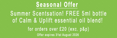 Seasonal Special Offer
